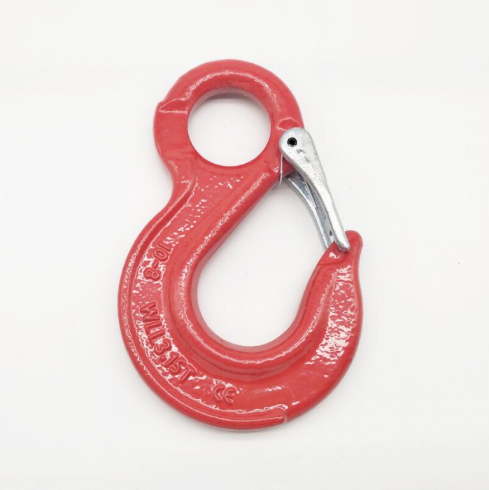 G80 Eye Slip Hook With Latch