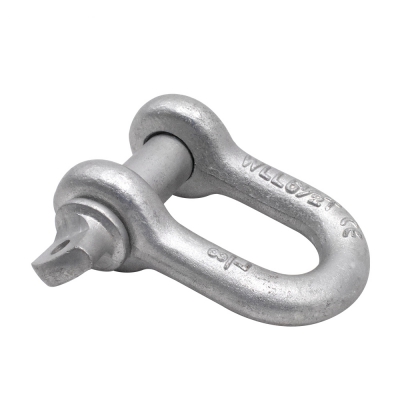 US Type G210 Forged Dee Shackle with Screw Pin